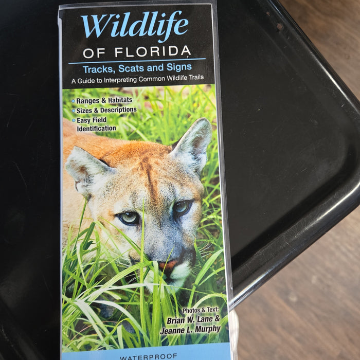 Wildlife of Florida