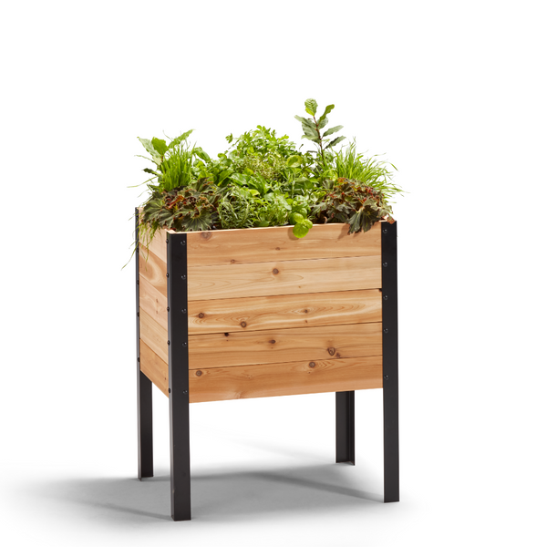 18″ x 24″ Raised Garden Bed