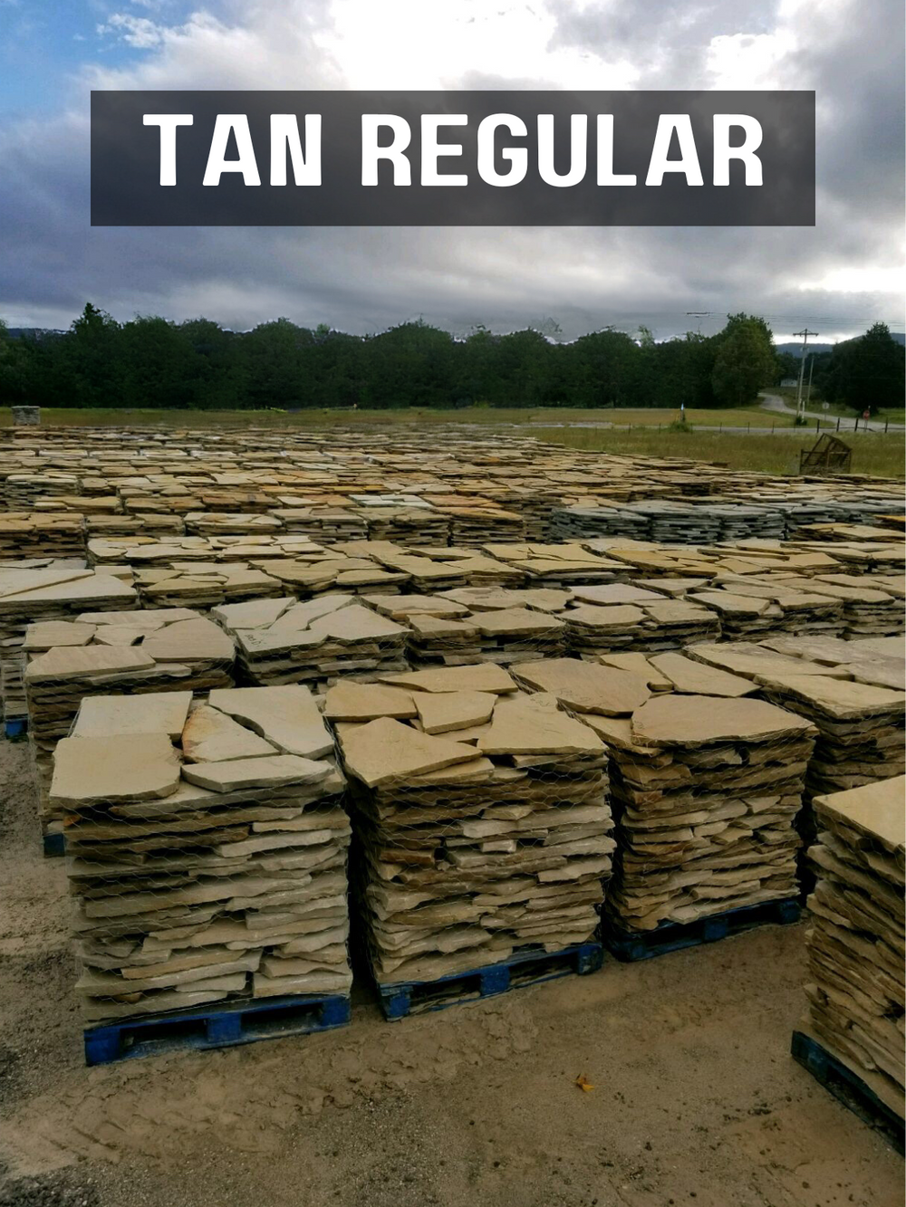 TN Flagstone Tan Medium 1 1/2" - 2"