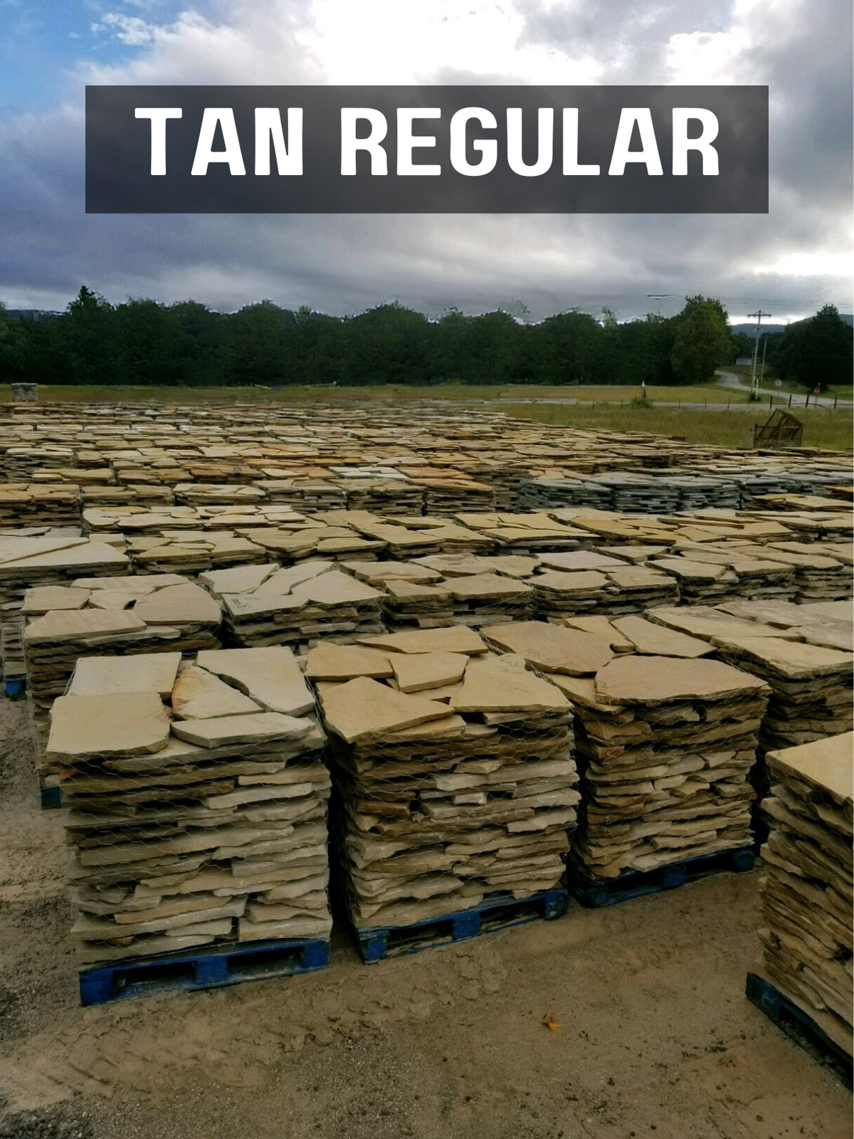 TN Flagstone Tan Medium 1 1/2" - 2"