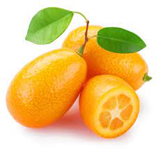 Citrus Kumquats