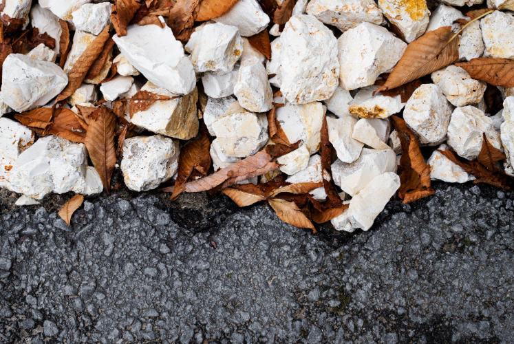Crushed Shell Price vs Mulch, Gravel, and Rock: Which Option Saves More?