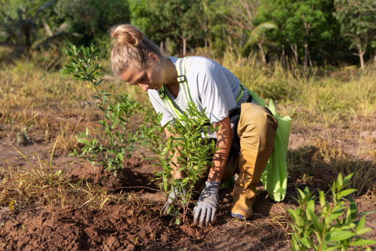 Beginner’s Guide to Planting a Backyard Orchard with Fruit Trees