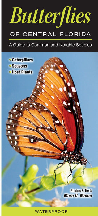 Butterflies of Central Florida