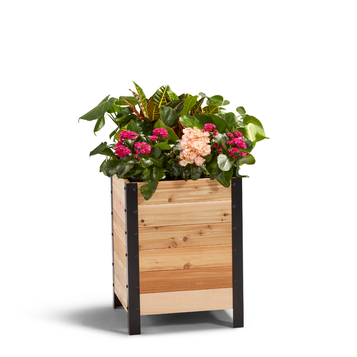 bushy box planters 18″ x 18″ Planter Box 24" Tall – The Gardens Nursery