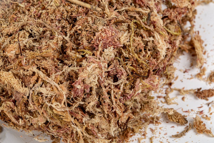 Sphagnum Moss - 2cu ft