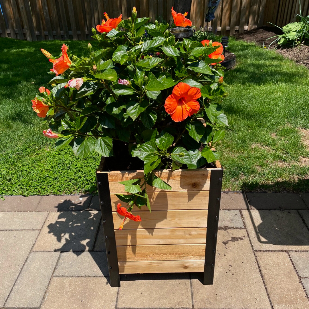 日本製 ホーロ　大きいお盆45㎝ライオン花★未使用ラベルあり 18″ x 18″ Planter Box 24