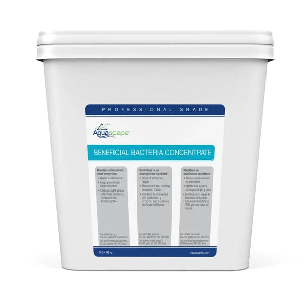 Beneficial Bacteria Concentrate Professional Grade – 9 Lb / 4.08 Kg