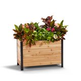 18" x 36" Planter Box - 24" Tall