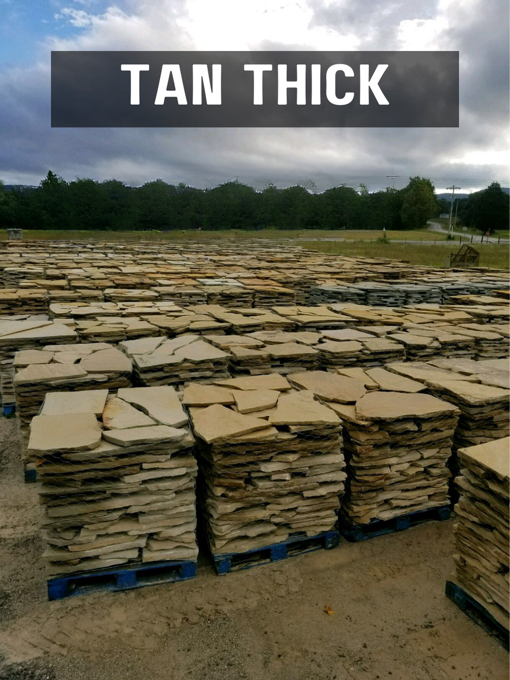 TN Flagstone Tan Thick 2-2 1/2"