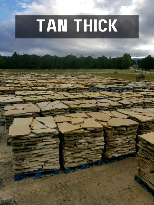 TN Flagstone Tan Thick 2-2 1/2"