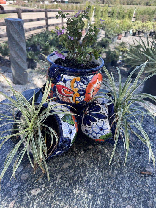 4 Colorful Little Pots With Plants
