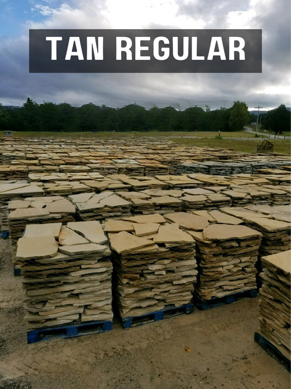 TN Flagstone Tan Regular 1 - 1 1/2"