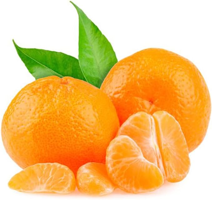 Citrus Tangerine – The Gardens Nursery