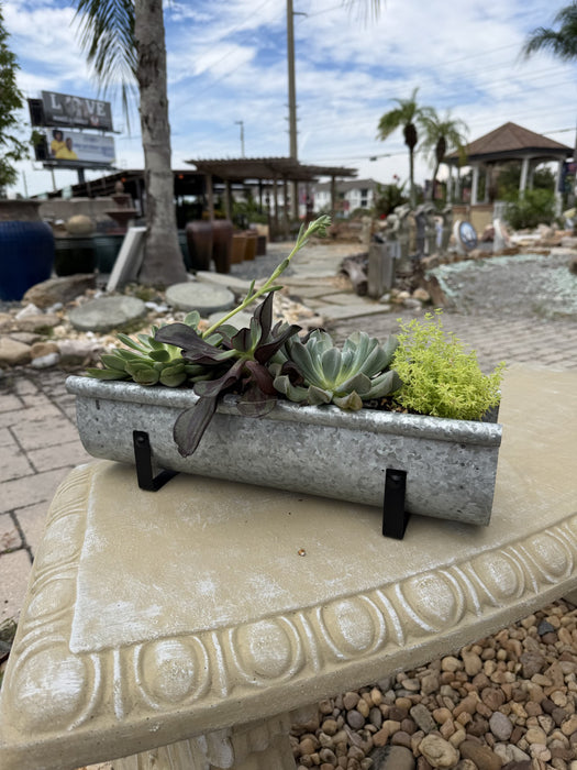 Watering Trough with Succulets