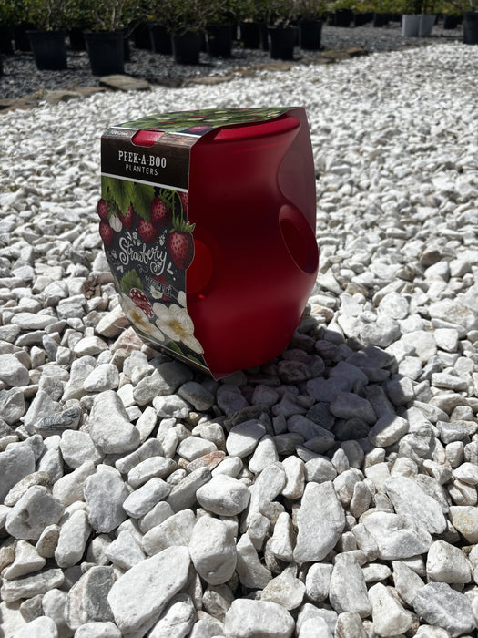 Strawberry Planter