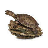 Turtle on Log Spitter