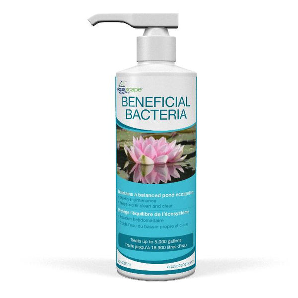 Beneficial Bacteria  - 8 oz / 236 ml