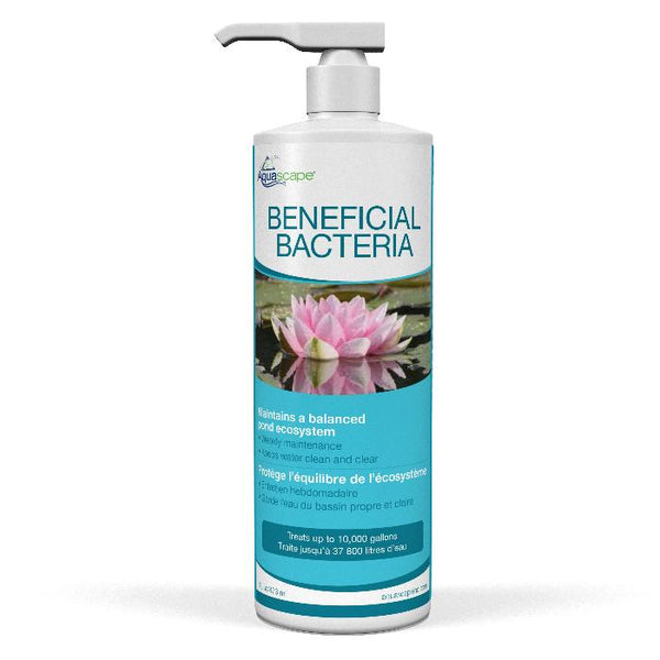 Beneficial Bacteria  - 16 oz / 473 ml