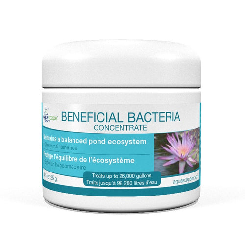 Beneficial Bacteria Concentrate - 4.4 oz / 125 G