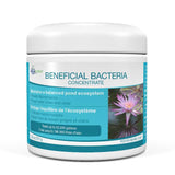 Beneficial Bacteria Concentrate - 8.8 oz / 250 G