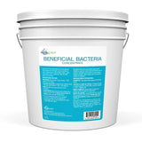 Beneficial Bacteria Concentrate 7lb / 3.2kg