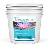 Beneficial Bacteria Concentrate 7lb / 3.2kg