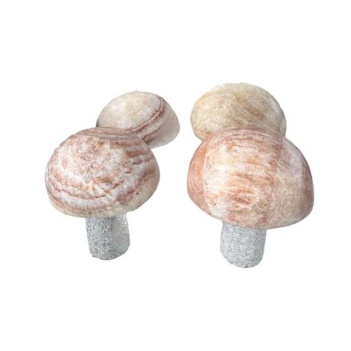 Beige Onyx Mushroom with Grey Granite Pillar 9.8" (25cm)