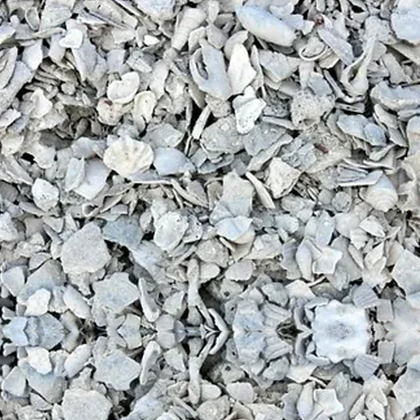 Crush Shell Bulk Shell by the Yard – The Gardens Nursery