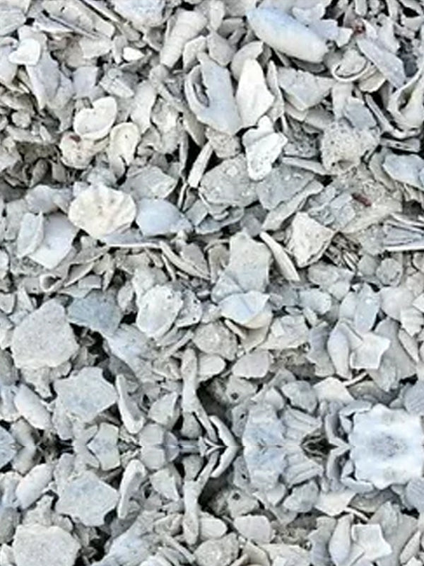 The Yard Shell Bulk Shell by the Yard – The Gardens Nursery