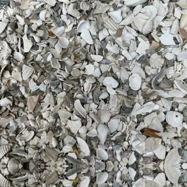 Bitcrushed Shell Bulk Shell by the Yard – The Gardens Nursery