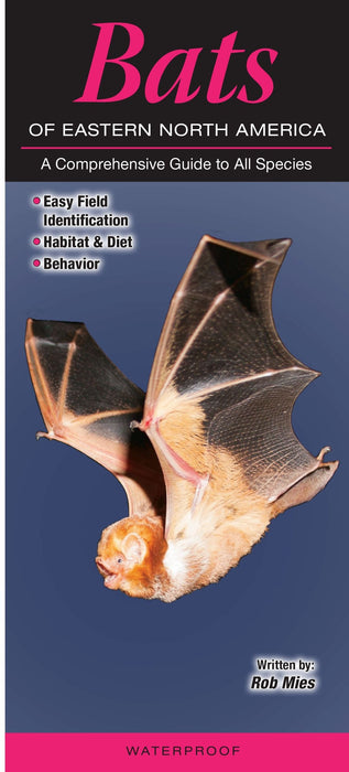 Bats of Eastern North America