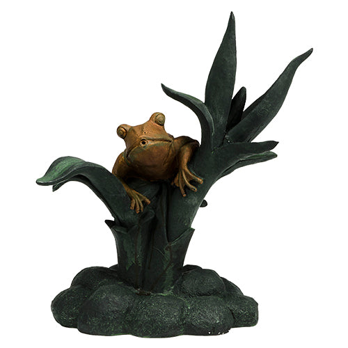 Frog On Reed Spitter