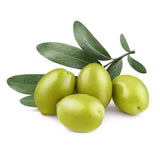 Fruit Olive Tree