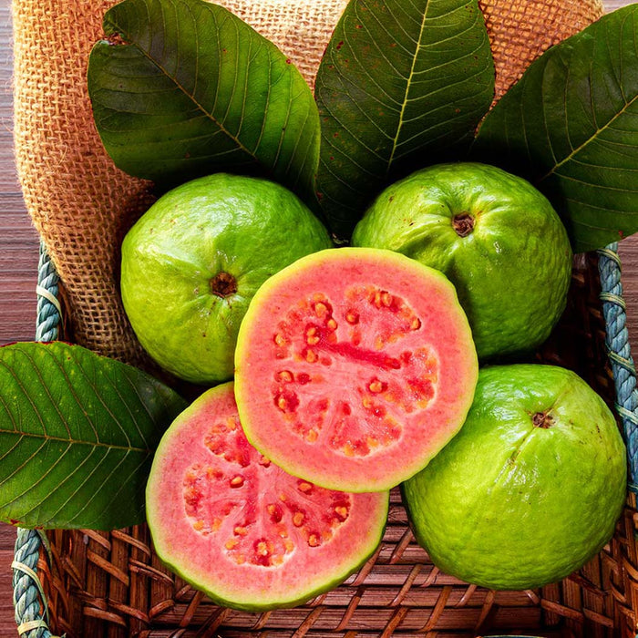 Fruit Pink Guava