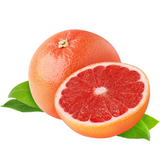 Citrus Grapefruit