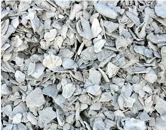 Bulk Shell by the Yard – The Gardens Nursery