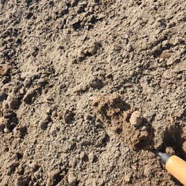Bulk Florida Top Soil (Unscreened) -Bulk : Yard