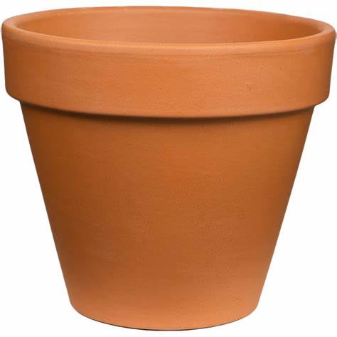 Terracotta pot