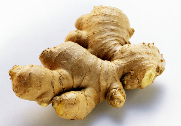 Edible Ginger