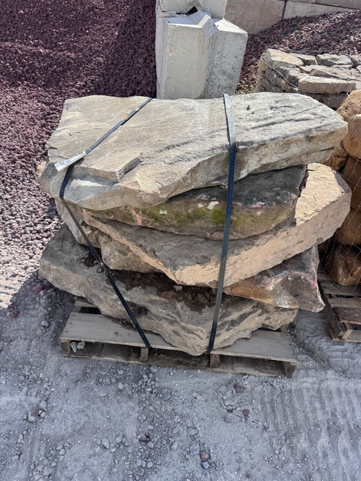 Tenn Steppers (Large)