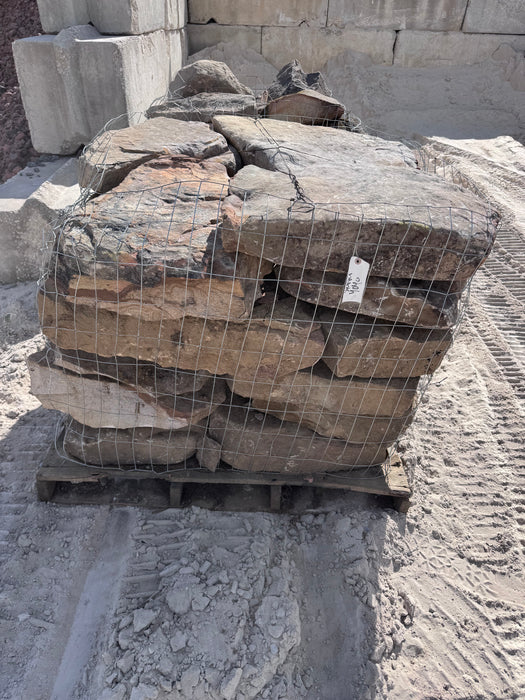 Tenn Steppers (Small)