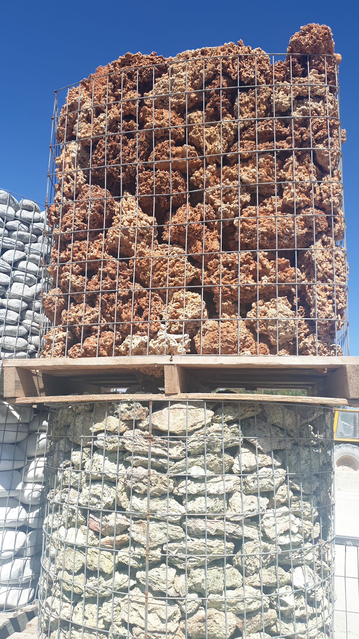 Green Spaghetti Rock – The Gardens Nursery