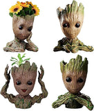 Groot Pots