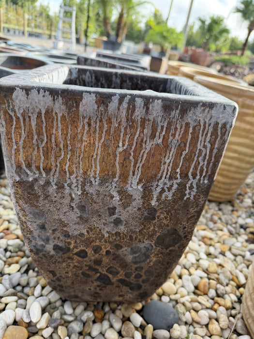 Medium Tall Square Grazed Brown