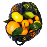 Citrus Assorted Hanging Basket