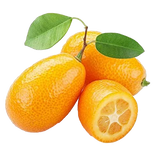 Citrus Kumquats