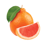 Citrus Tangelo