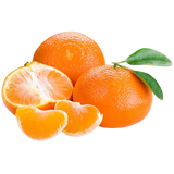 Citrus Tangerine