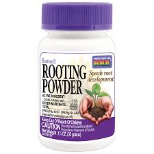 Bontone II Rooting Powder-35 grams